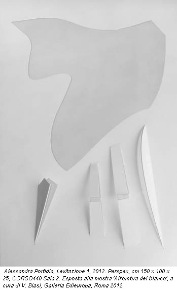 Alessandra Porfidia, Levitazione 1, 2012. Perspex, cm 150 x 100 x 25, CORSO440 Sala 2. Esposta alla mostra 'All'ombra del bianco', a cura di V. Biasi, Galleria Edieuropa, Roma 2012.