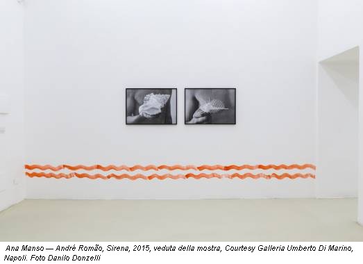 Ana Manso — André Romão, Sirena, 2015, veduta della mostra, Courtesy Galleria Umberto Di Marino, Napoli. Foto Danilo Donzelli