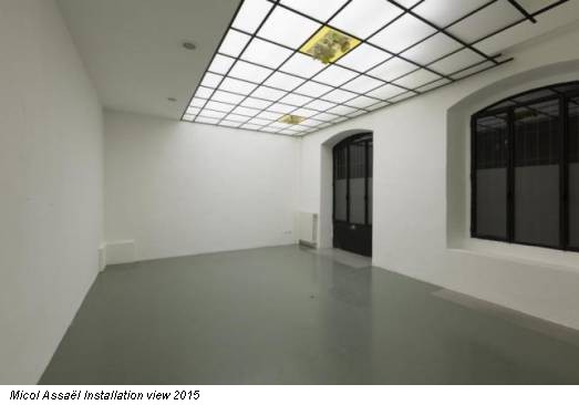 Micol Assaël Installation view 2015