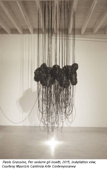 Paolo Grassino, Per sedurre gli insetti, 2015, installation view, Courtesy Maurizio Caldirola Arte Contemporanea