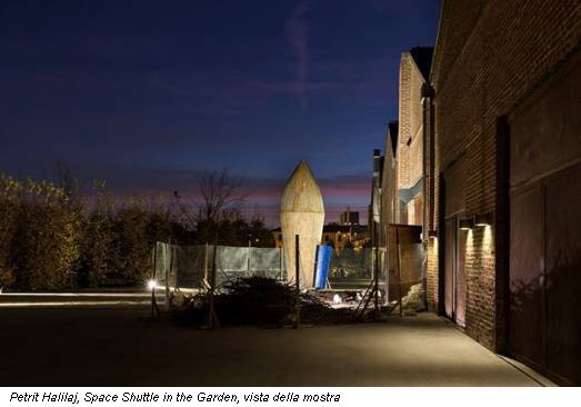 Petrit Halilaj, Space Shuttle in the Garden, vista della mostra