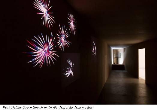 Petrit Halilaj, Space Shuttle in the Garden, vista della mostra