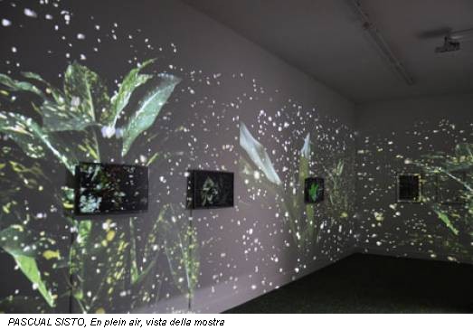 PASCUAL SISTO, En plein air, vista della mostra