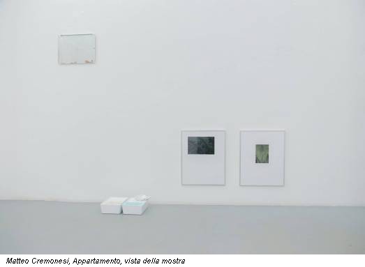 Matteo Cremonesi, Appartamento, vista della mostra