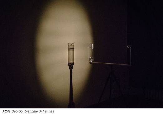 Attila Csorgo, biennale di Kaunas