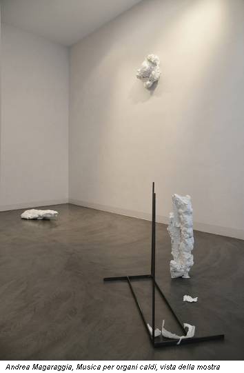 Andrea Magaraggia, Musica per organi caldi, vista della mostra
