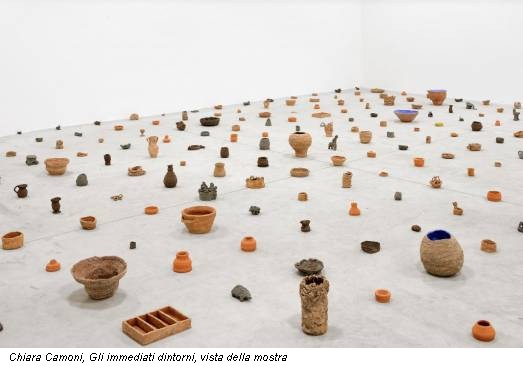 Chiara Camoni, Gli immediati dintorni, vista della mostra