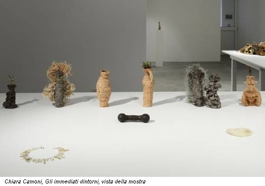 Chiara Camoni, Gli immediati dintorni, vista della mostra