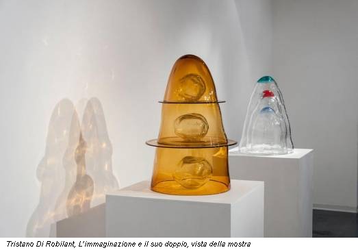 Tristano Di Robilant, L’immaginazione e il suo doppio, vista della mostra