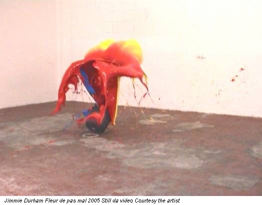 Jimmie Durham Fleur de pas mal 2005 Still da video Courtesy the artist
