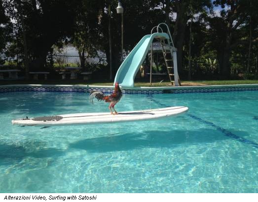 Alterazioni Video, Surfing with Satoshi