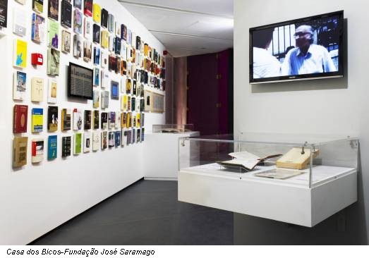 Casa dos Bicos-Fundação José Saramago