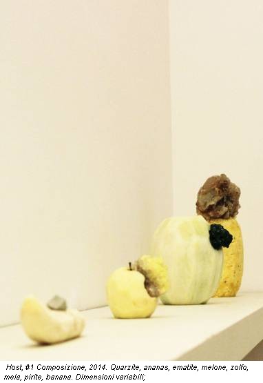 Host, #1 Composizione, 2014. Quarzite, ananas, ematite, melone, zolfo, mela, pirite, banana. Dimensioni variabili;