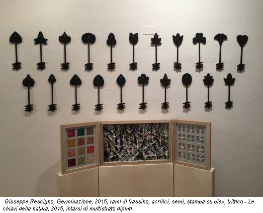 Giuseppe Rescigno, Germinazione, 2015, rami di frassino, acrilici, semi, stampa su plex, trittico - Le chiavi della natura, 2015, intarsi di multistrato dipinti