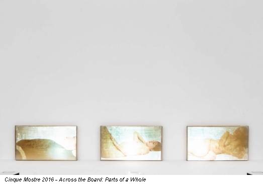 Cinque Mostre 2016 - Across the Board: Parts of a Whole