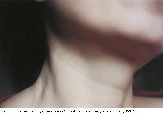 Marina Ballo, Primo campo senza titolo #4, 2001, stampa cromogenica a colori, 150x100