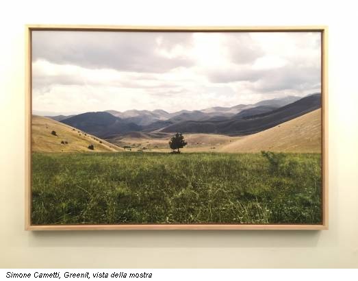 Simone Cametti, Greenit, vista della mostra
