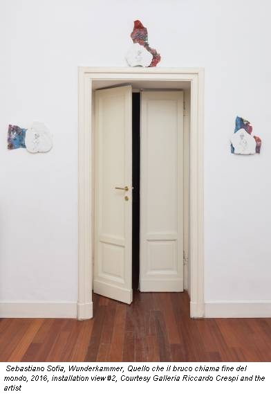 Sebastiano Sofia, Wunderkammer, Quello che il bruco chiama fine del mondo, 2016, installation view #2, Courtesy Galleria Riccardo Crespi and the artist