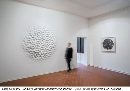 Loris Cecchini, Wallwave vibration (anatomy of a diagram), 2012 (ph Ela Bialkowska OKNOstudio)