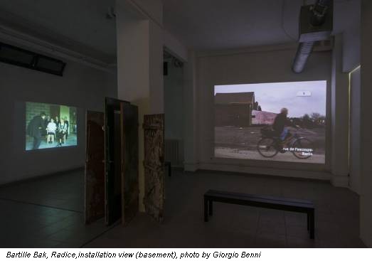 Bartille Bak, Radice,installation view (basement), photo by Giorgio Benni