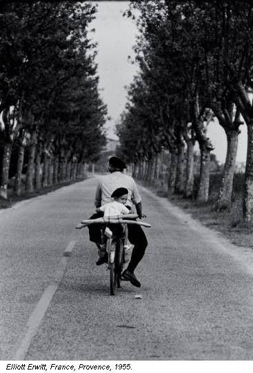Elliott Erwitt, France, Provence, 1955.