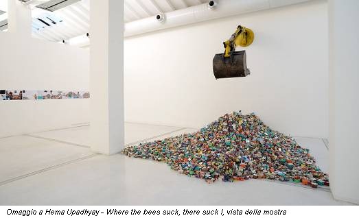 Omaggio a Hema Upadhyay - Where the bees suck, there suck I, vista della mostra