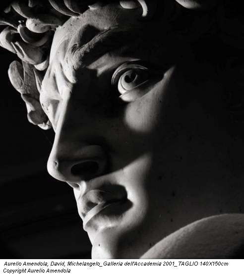 Aurelio Amendola, David, Michelangelo_Galleria dell'Accademia 2001_TAGLIO 140X150cm Copyright Aurelio Amendola