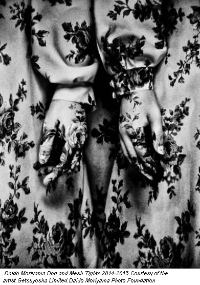 Daido Moriyama.Dog and Mesh Tights.2014-2015.Courtesy of the artist.Getsuyosha Limited.Daido Moriyama Photo Foundation