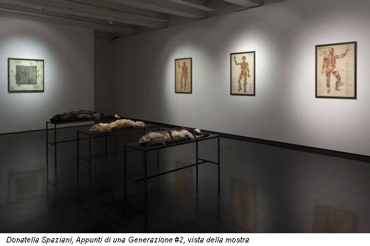 Donatella Spaziani, Appunti di una Generazione #2, vista della mostra