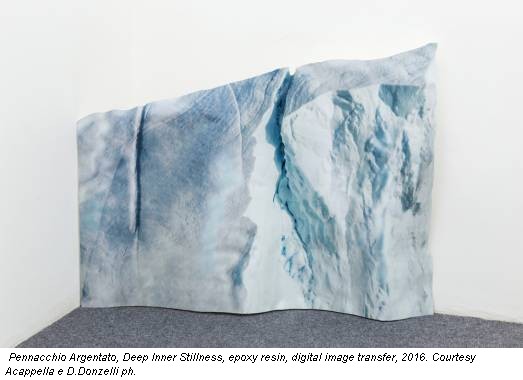 Pennacchio Argentato, Deep Inner Stillness, epoxy resin, digital image transfer, 2016. Courtesy Acappella e D.Donzelli ph.