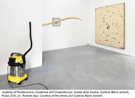 Anatomy of Restlessness (Anatomia dell’irrequietezza), veduta della mostra, Galleria Mario Iannelli, Roma 2016, ph. Roberto Apa, Courtesy of the artists and Galleria Mario Iannelli