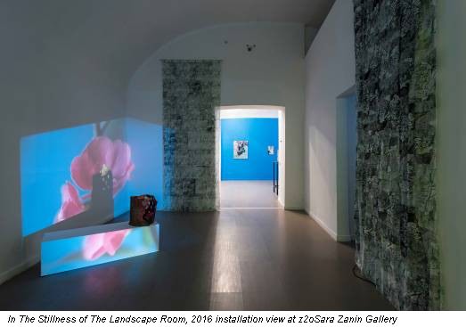 In The Stillness of The Landscape Room, 2016 installation view at z2oSara Zanin Gallery