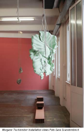 Morgane Tschiember Installation views Foto Sara Scanderebech