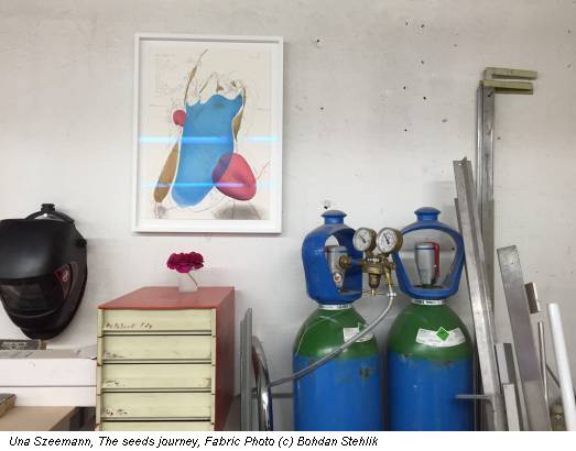 Una Szeemann, The seeds journey, Fabric Photo (c) Bohdan Stehlik