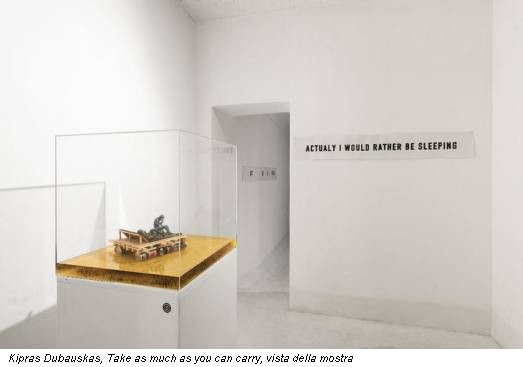 Kipras Dubauskas, Take as much as you can carry, vista della mostra