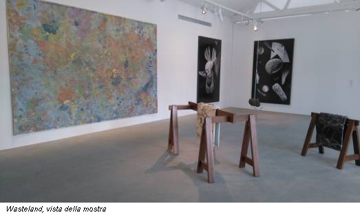 Wasteland, vista della mostra