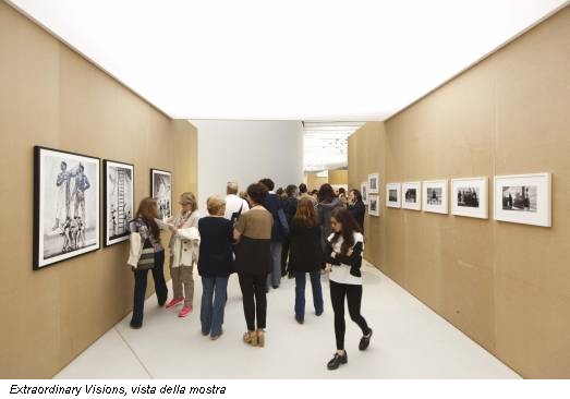 Extraordinary Visions, vista della mostra