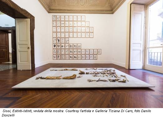 Sissi, Estinti-Istinti, veduta della mostra. Courtesy l'artista e Galleria Tiziana Di Caro, foto Danilo Donzelli