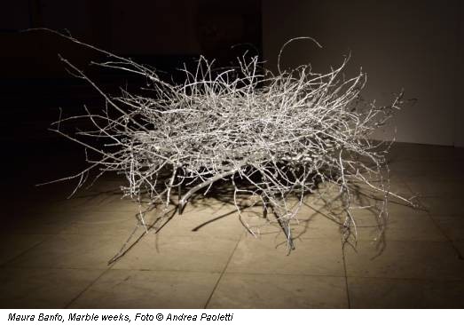Maura Banfo, Marble weeks, Foto © Andrea Paoletti
