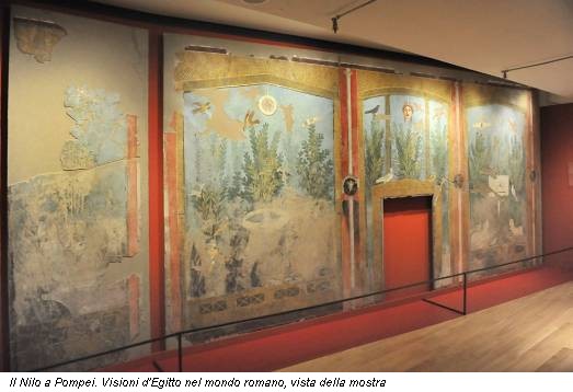 Il Nilo a Pompei. Visioni d'Egitto nel mondo romano, vista della mostra