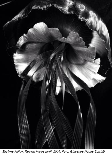 Michele Iodice, Reperti impossibili, 2016. Foto: Giuseppe Natale Salviati