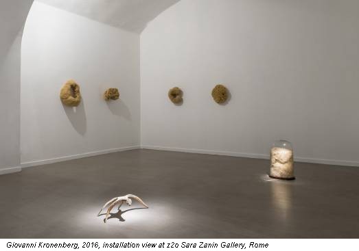 Giovanni Kronenberg, 2016, installation view at z2o Sara Zanin Gallery, Rome