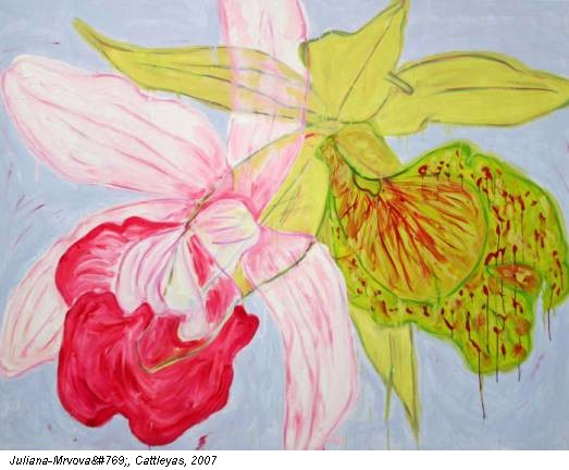 Juliana-Mrvová, Cattleyas, 2007