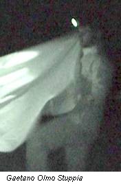 Gaetano Olmo Stuppia