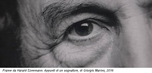 Frame da Harald Szeemann. Appunti di un sognatore, di Giorgio Marino, 2016