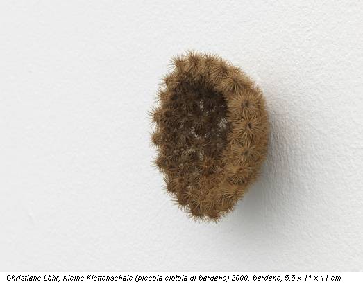Christiane Löhr, Kleine Klettenschale (piccola ciotola di bardane) 2000, bardane, 5,5 x 11 x 11 cm