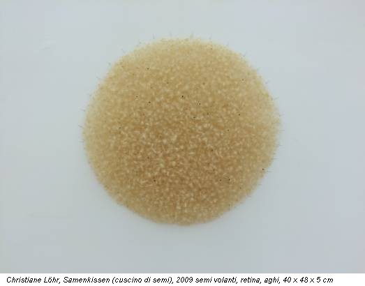 Christiane Löhr, Samenkissen (cuscino di semi), 2009 semi volanti, retina, aghi, 40 x 48 x 5 cm