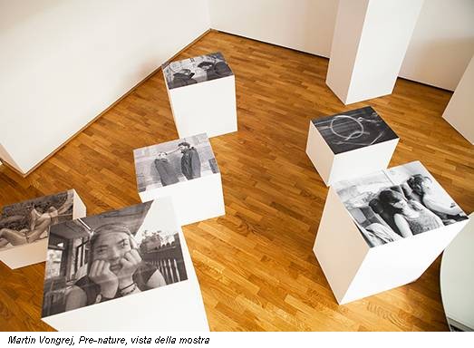 Martin Vongrej, Pre-nature, vista della mostra