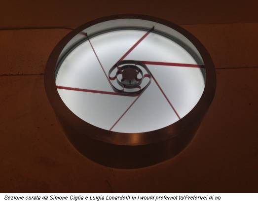 Sezione curata da Simone Ciglia e Luigia Lonardelli in I would prefernot to/Preferirei di no