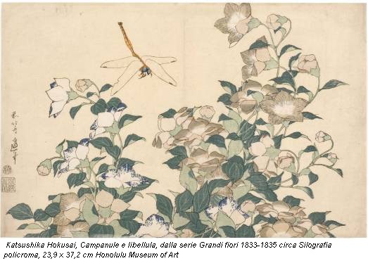 Katsushika Hokusai, Campanule e libellula, dalla serie Grandi fiori 1833-1835 circa Silografia policroma, 23,9 x 37,2 cm Honolulu Museum of Art